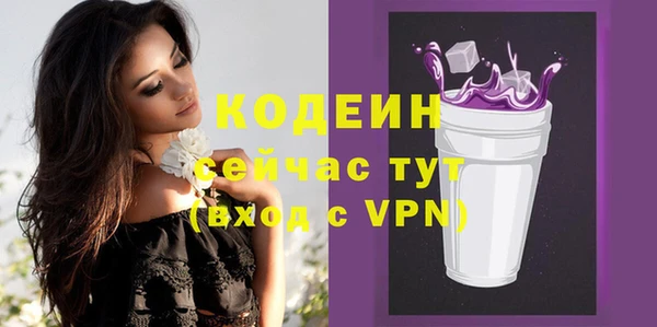 молекула духа Медвежьегорск
