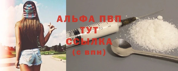 молекула духа Медвежьегорск