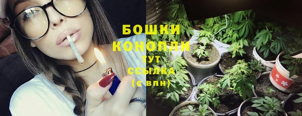 молекула духа Медвежьегорск