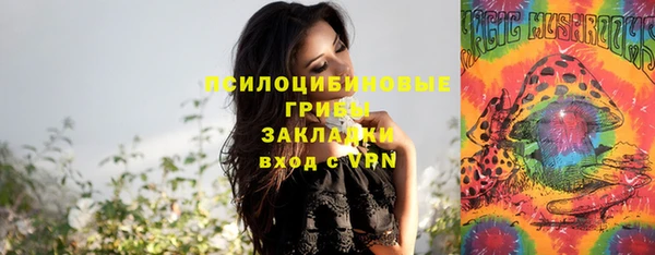 молекула духа Медвежьегорск