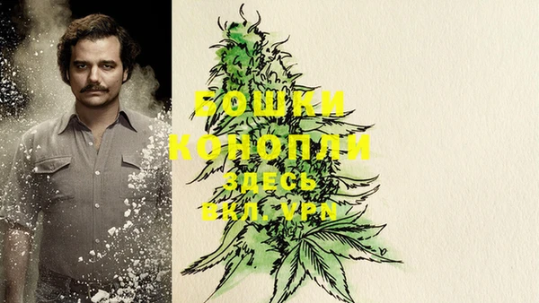 молекула духа Медвежьегорск